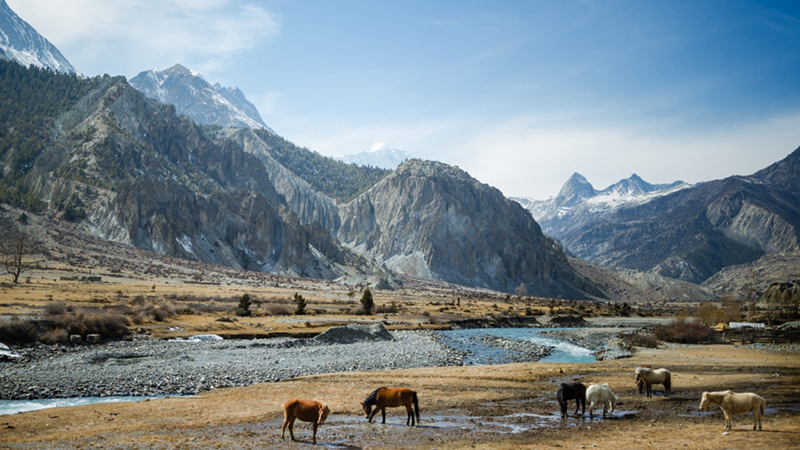 mustang valley; upper mustang trek; nepal tour destinations; lo manthang