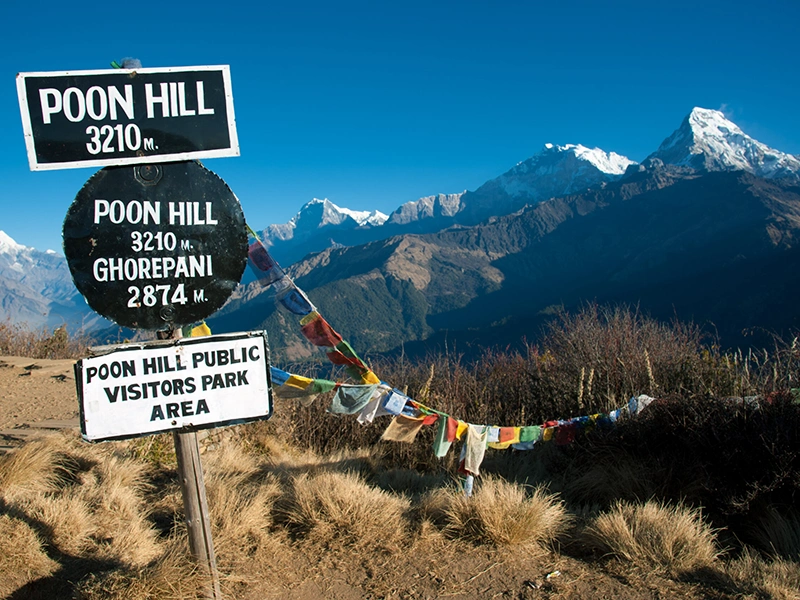 famous view point of ghorepani poon hill trek
