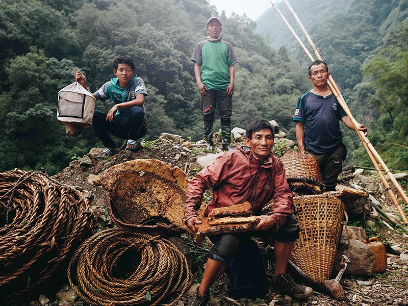 The Gurung community in a village in Nepal preparing for the traditional mad honey hunt, showcasing their cultural heritage.